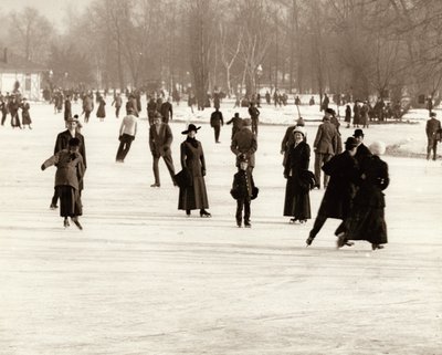 Eisläufer im Forest Park von Unknown